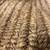 New!!  Palecek Sea Grass - Jute Rug - New - 3' x 5' 5 thumbnail