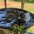 Call Duck Hatching Eggs 1 thumbnail