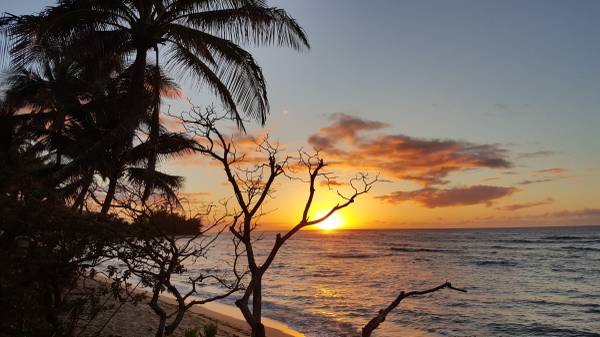 $1,025 / 4br - North Shore, Waialua, Haleiwa (Beachfront House/Crozier Drive)63686672890755120