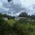 Handyman Special – 3/2 on Large Lot – $185,000 1 thumbnail