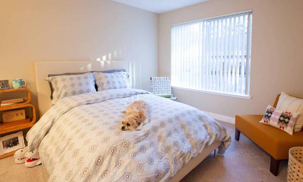 $3,138 / 1br - 700ft2 - Love Where you Live! Spacious 1B1BA Available! 4 Weeks FREE! (santa clara)63682851324161122