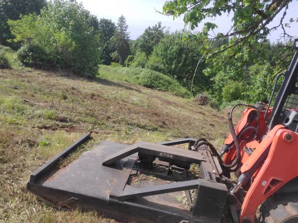 Brush Mowing 1