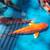 Japanese koi high quality affordable price 18 thumbnail