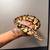 Pastel Ball Python 3 thumbnail