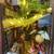 Assorted booknooks and mini doll houses 3 thumbnail