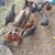 Barnyard Chickens 2 thumbnail