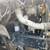 1995 Ford F Series Truck Tractor—120,068 Hours on Meter, See More 6 thumbnail