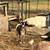 Nigerian goats-3 females 2 thumbnail