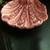 PINK  SOAP  DISH 2 thumbnail