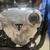 2016 Triumph Thruxton 1200 R 7 thumbnail