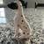 Disney - Pongo Figurine 4 thumbnail
