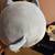 Squishmello Kitty 2 thumbnail
