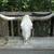REAL LONGHORN SKULL AND HORNS 52 1/2" SPREAD 1 thumbnail