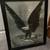 Handsome Eagle Print 4 thumbnail