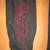 New Women's Harley Pants 4 thumbnail
