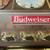Vintage Budweiser Bud light up doublesided sign clock Clydesdales 6 thumbnail