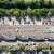 For Lease - 12901 16th Ave N #120 (Luce Line Bldg) - Showroom/Whse 8 thumbnail
