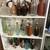GOT A MAN-CAVE OR HOME BAR? BEER & LIQUOR ITEMS, BAR LGHTS & BARWARE! 12 thumbnail