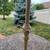Patio Umbrella Table Umbrella used a few times 13 thumbnail