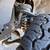 2010 Ford F-150 Regular cab XL 7 thumbnail