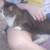 Pet care services 2 thumbnail