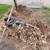 PRUNING SAW BLADE 10 thumbnail