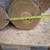 Sumac logs 4 thumbnail