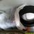 Set of 4 Cooper Snow Tires 1 thumbnail