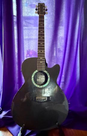 Rainsong Acoustic Electric Guitar 1