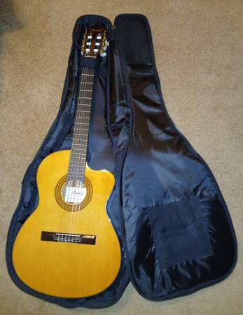 Two acoustic-electric nylon-string guitars 1