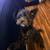 Mixed pup 2 thumbnail