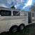 1999 custom fab aluminum 2 horse slant trailer for sale 2 thumbnail