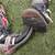 boots 1 thumbnail