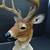 Deer Buck Scripture Figurine Dennis Franzen COA Psalm 46:10 Be Still 6 thumbnail