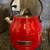 Red KitchenAid Mixer,Toaster,Kettle 3 thumbnail