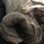 Ultra Soft Two Layer Grey Velour Faux Fur Blanket lknew 2 thumbnail