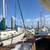 South SF MARINA cheap 9 thumbnail