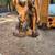 2011 Case Super N Backhoe 7 thumbnail