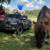 Micro Mini mare 2 thumbnail