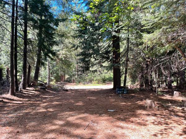 $179,000 36 Acres, Forested, Views, Good Well, Sunny, Two Outbuildings Off Grid (Nevada City)63952104991235120
