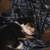 Adorable loving chaweenie puppy's needing there forever home 1 thumbnail