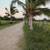 MEXICO RANCH. 10,000 + ACRES PLUS IMPROVEMENTS. WONDERFUL! 1 thumbnail