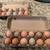 Fresh farm raised free range organic chicken eggs 8 thumbnail