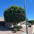 JUAN'S LANDSCAPING 1 thumbnail