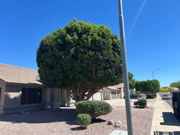 JUAN'S LANDSCAPING 1