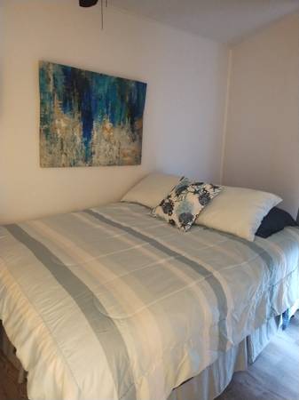 $375 / 1br - 420ft2 - WEEKLY CONDO $395 SLEEPS 4 ON THE BEACH (Corpus Christi)64036536842371121