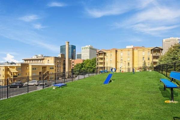 $1,009 / 325ft2 - Estudios Apartamentos en alquiler @ Renew on Temple: Oferta de 1 mes gratis (Centro)63674310956673121