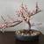 Faux Cherry Blossom Bonsai Tree 1 thumbnail