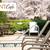 Explore, dream, settle. Your new journey starts with this 1 BR. 15 thumbnail