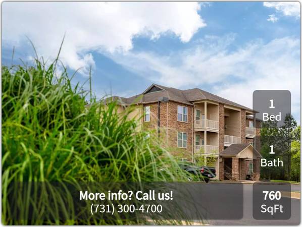 $1,270 / 1br - 760ft2 - ¡Bienvenidas mascotas de cuatro patas! Disfruta de nuestro apartamento apto para mascotas de 1 dormitorio / 1 baño. (Jackson - Ridgecrest)63612489730433122